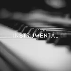 Instrumental